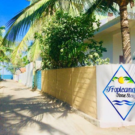 Tropicana Home Stay Vịnh Arugam Ngoại thất bức ảnh