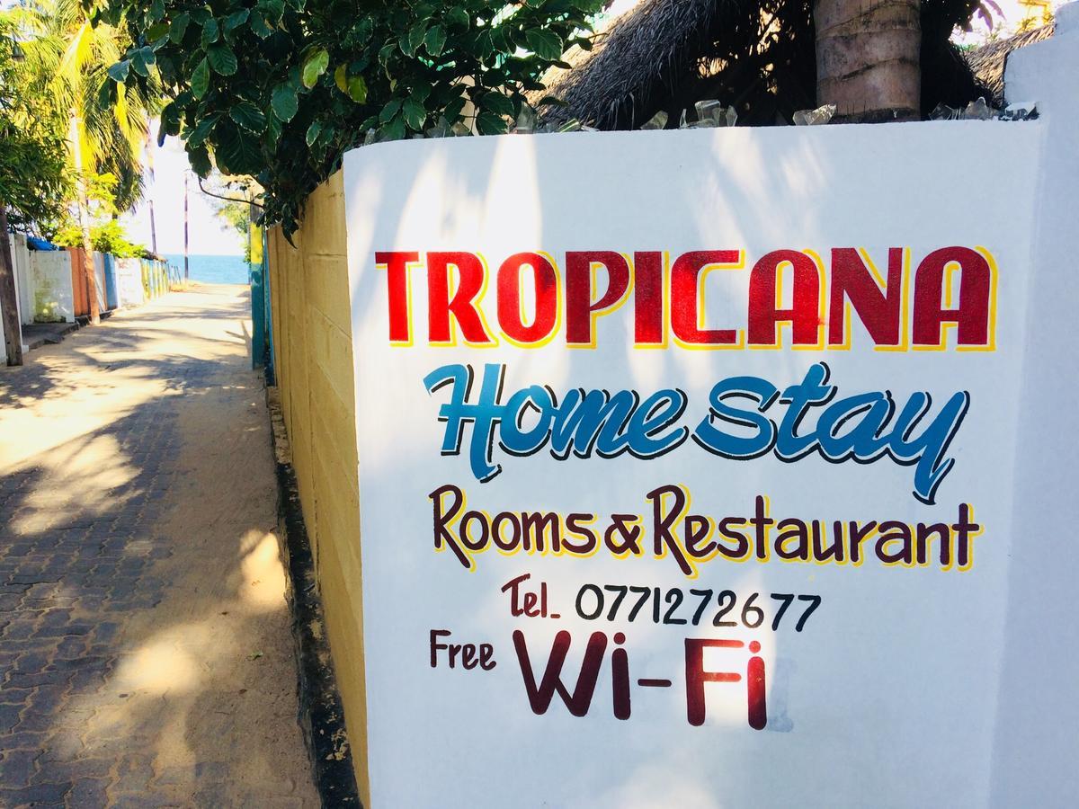 Tropicana Home Stay Vịnh Arugam Ngoại thất bức ảnh