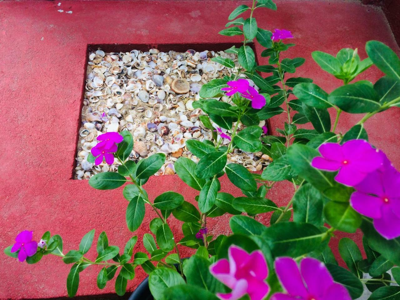 Tropicana Home Stay Vịnh Arugam Ngoại thất bức ảnh