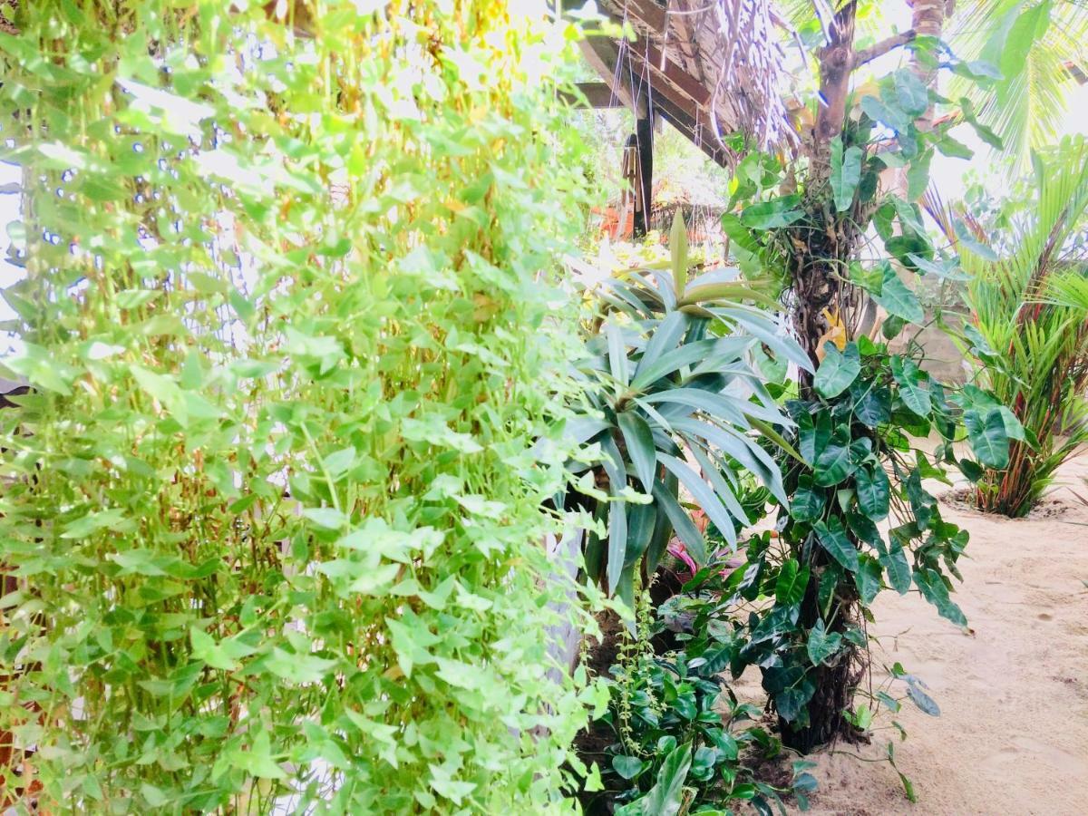 Tropicana Home Stay Vịnh Arugam Ngoại thất bức ảnh