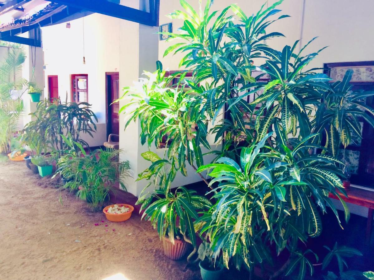 Tropicana Home Stay Vịnh Arugam Ngoại thất bức ảnh