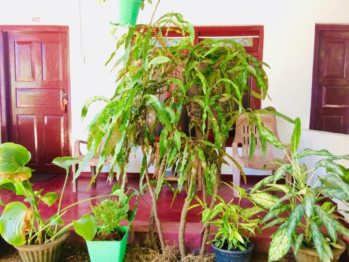 Tropicana Home Stay Vịnh Arugam Ngoại thất bức ảnh